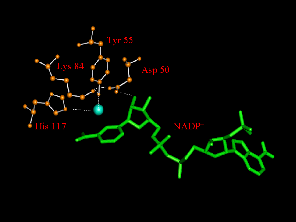 Loop structures of AKRs